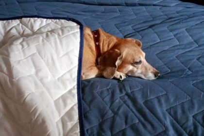 Примерную дату начала отопительного сезона-2025/26 назвали в мэрии Новосибирска