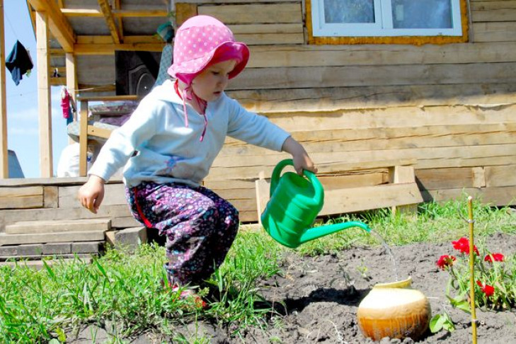 Погода в Новосибирске на 27-28 мая: все на дачу