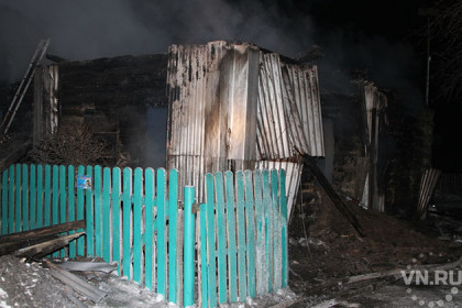 Мать и четверо малолетних детей сгорели в Краснозерском районе