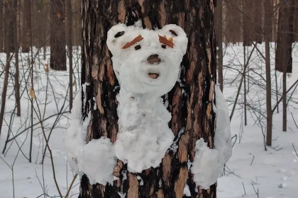 Тающий снег затопит улицы Новосибирска в день Феофана Исповедника 25 марта