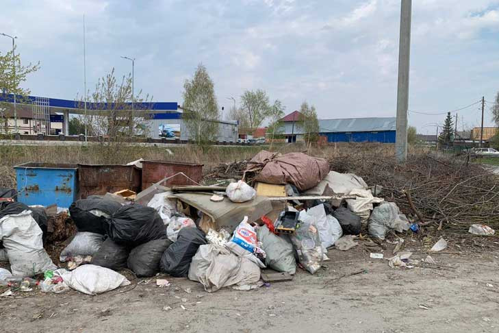 Поселок Пашино очистили от мусора после вмешательства прокуратуры