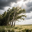 В Убинском округе снова возможен шторм