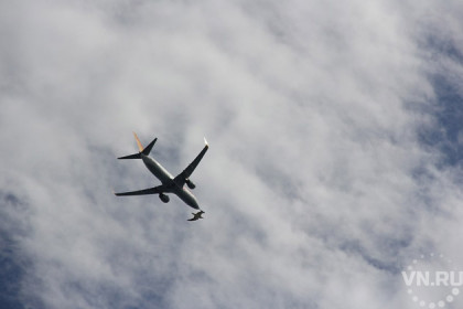 27 самолетов столкнулись с птицами над аэропортами Сибири