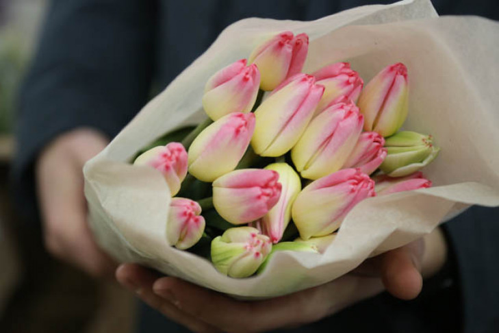Урожай тюльпанов готовятся собрать в новосибирских теплицах