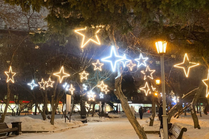 Как отметить Новый год в Новосибирске и не нарушить закон