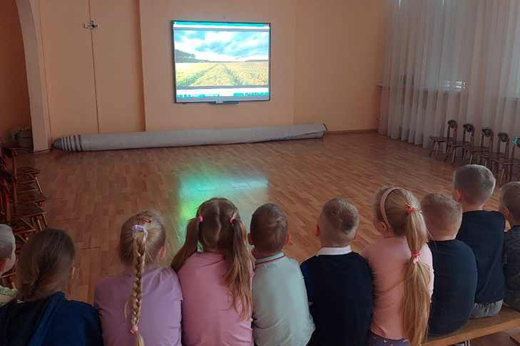В Новосибирске педагог-психолог детского сада «Калинка» жестоко избила ребенка