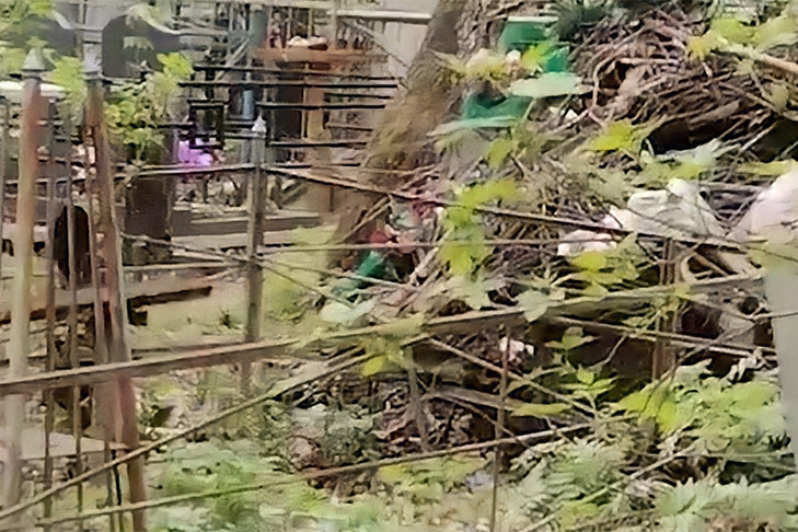 В Новосибирске могилы Гусинобродского кладбища завалило мусором и деревьями