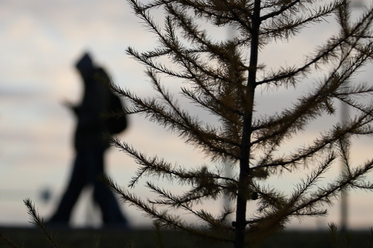 Неблагоприятные погодные явления ожидаются с 1 ноября в Новосибирске