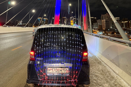 Штраф за гирлянды на новогоднем такси объяснили в ГАИ Новосибирска