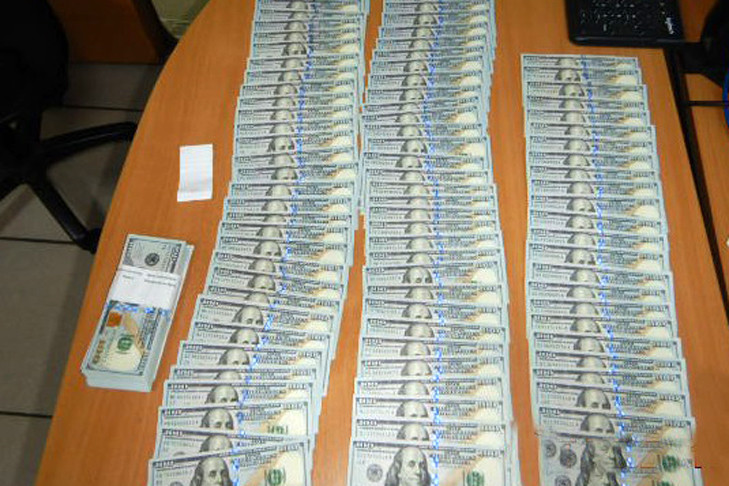 Пес Кодилак вычислил миллионера по запаху в аэропорту Толмачево