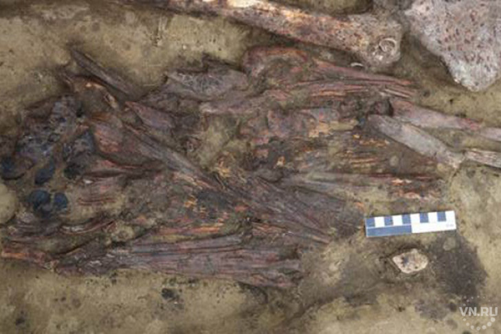 Длинные клювы обнаружили ученые в разрытой могиле
