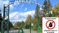 В Новосибирске 25 июня закроют Дендропарк