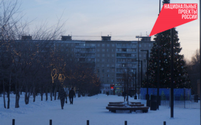 Новосибирская область примет участие в конкурсе «Ёлки России»