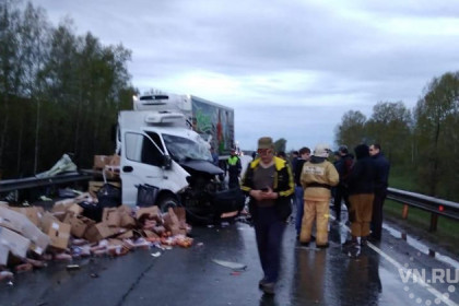 Два грузовика сошлись в смертельном ДТП в Новосибирской области