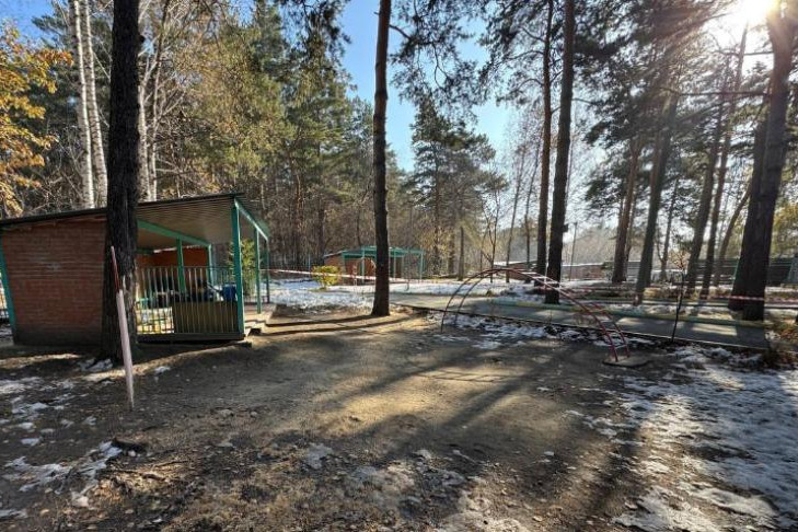 Видео падения дерева на 6-летнего мальчика появилось в Новосибирске