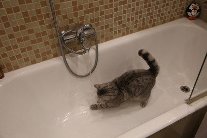 Врач Ольга Сайно попросила новосибирцев не принимать горячую ванну 1 января