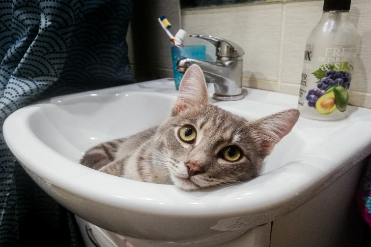 Мэрия отсрочила отключение водоснабжения в четырех районах Новосибирска