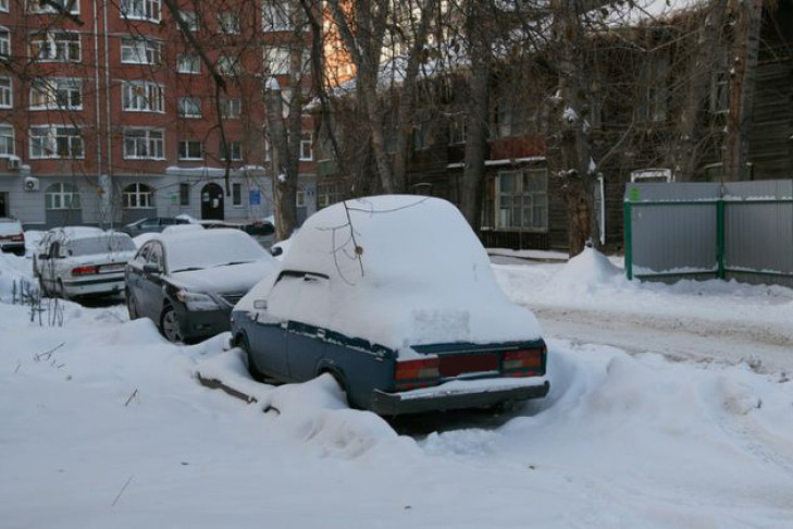 Погода в Новосибирске до 29 января: метель и снежные заносы