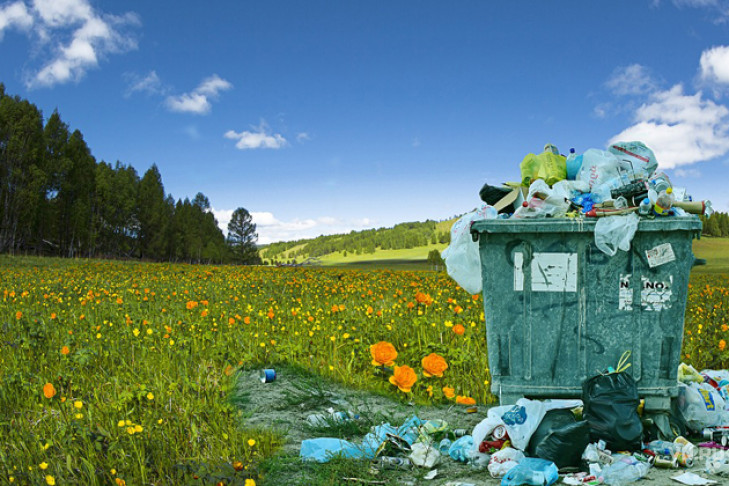 По 200 тонн мусора приходится на каждого россиянина