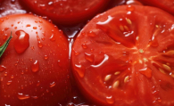 Томаты с молью: узбекские помидоры уничтожили в Новосибирске