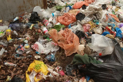 Побитые дети роются в помойке в Новосибирской области