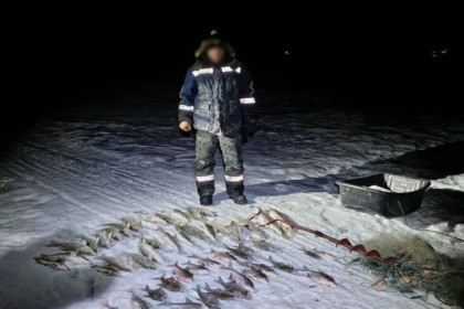 Рыбу на 100 тысяч рублей тащил в санях-волокушах браконьер в Новосибирске