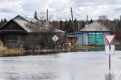 Самые масштабные паводки в Новосибирской области – годы