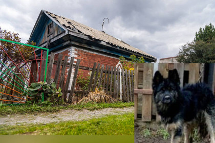 Двое суток в плену провела жительница Бердска