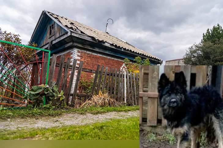 Двое суток в плену провела жительница Бердска