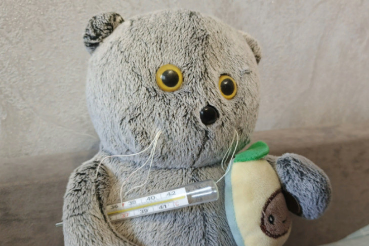 Первый случай гриппа зарегистрирован в Новосибирской области