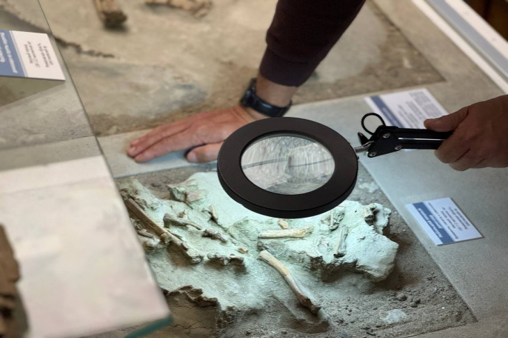 Древнюю угрозу человеческому роду изучают палеонтологи в Новосибирске