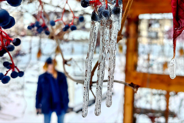 Снежный плен: синоптики предупредили о похолодании до -7 градусов в Новосибирске