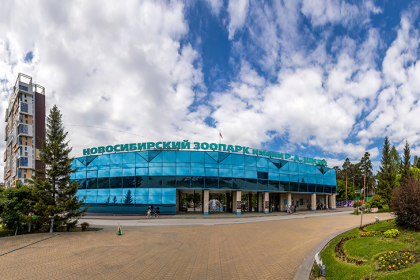 Центральный фонтан запустили в Новосибирском зоопарке