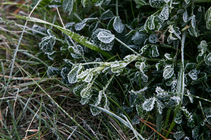 Резкое похолодание опять пришло в Новосибирскую область