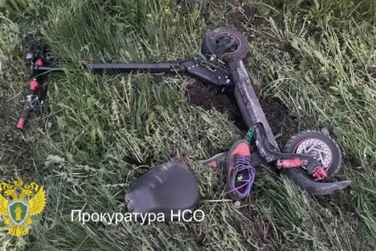 Новосибирский суд не смягчил приговор за смерть 11-летнего самокатчика в Багане