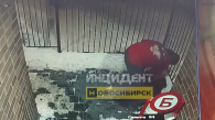 Новосибирец жестоко избил собаку во дворе