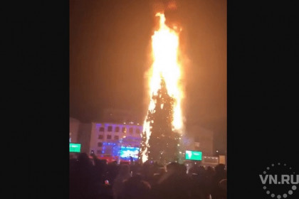 Главная елка Сахалина сгорела в новогоднюю ночь