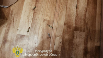 Новосибирец пойдёт под суд за незаконное хранение боеприпасов