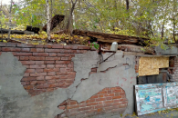 Мэрия Новосибирска продала руинированный памятник за 2,6 миллиона рублей