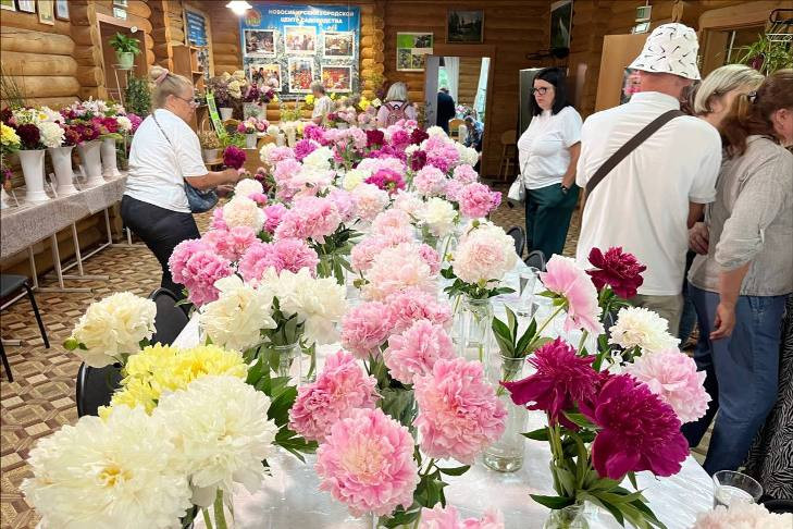 Черенки за 100 тысяч рублей: чем удивила выставка пионов в Новосибирске