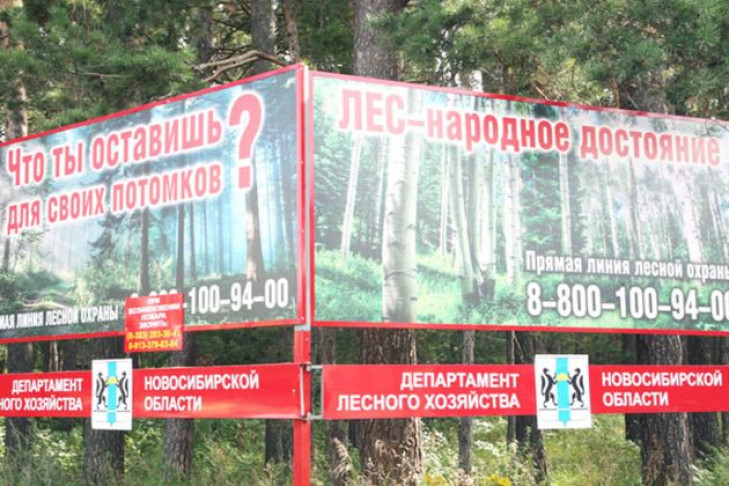 По 3000 рублей за каждое срубленное дерево заплатит браконьер