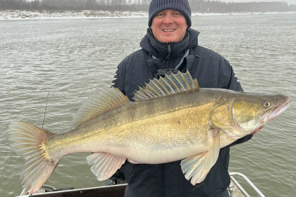 Царя судаков выловил в Оби рыбак из Новосибирска