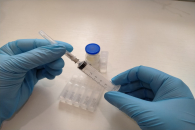 Роспотребнадзор призвал новосибирцев привиться от клещевого энцефалита в феврале