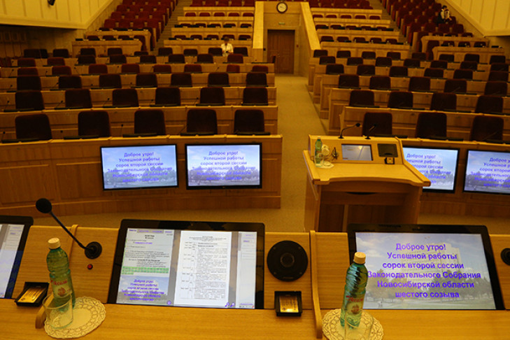 Новый регламент проведения публичных мероприятий одобрили в Новосибирске