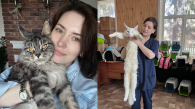 Сибирячка сменила работу ветеринара на профессию няни для домашних животных