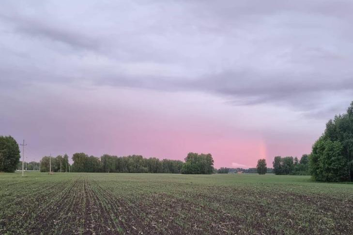 Юноша убил 17-летнего подростка в лесу под Новосибирском
