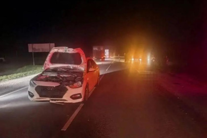 На трассе в Новосибирской области насмерть сбили пешехода без светоотражателей