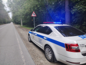 В Заельцовском бору прошёл рейд против незаконного проезда автомобилей и мотоциклов