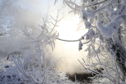 Завалит снегом: прогноз погоды на неделю 7-13 декабря в Новосибирске