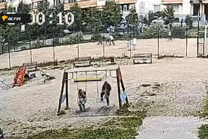 Бастрыкин взял на контроль дело об избиении 9-летнего ребенка в Новосибирске